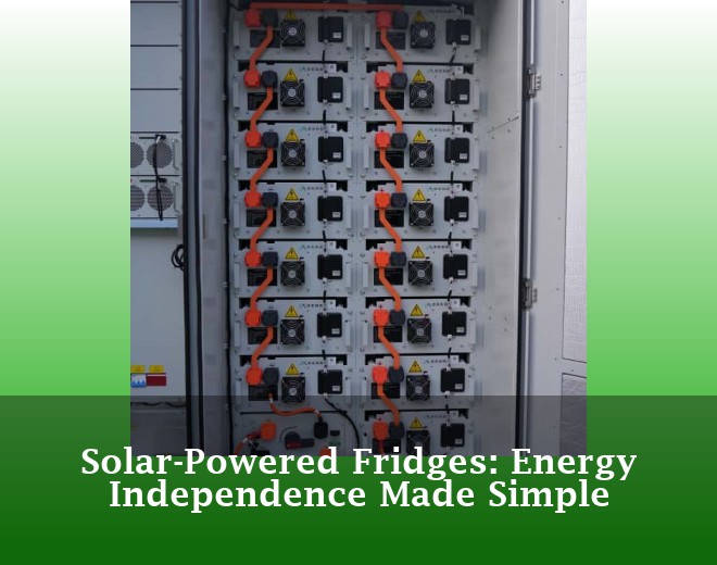 Solar-Powered Fridges: Energy Independence Made Simple